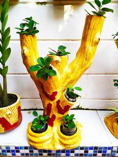 Plant Pot Hanging Garden Tools Supplies Carousell Philippines
