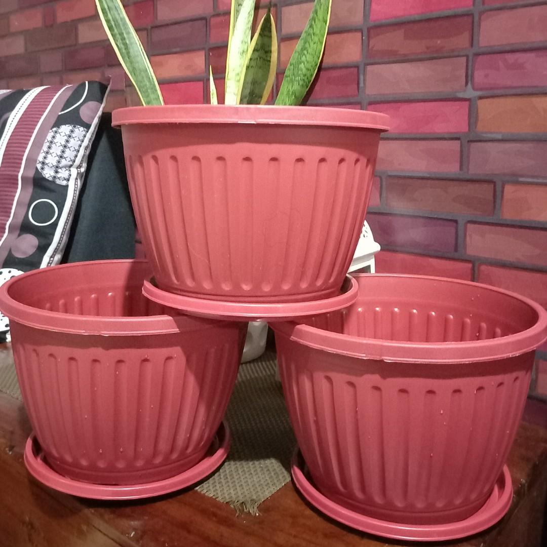 300pcs 6 X 9 Pots With Catch Plates Gardening Garden Tools Supplies On Carousell