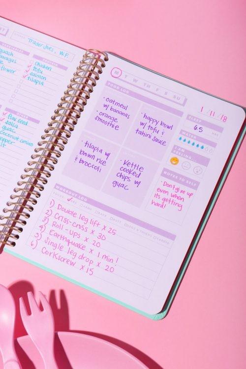 Blogilates Fitness & Food Journal/Planner/Diary, Hobbies & Toys, Books