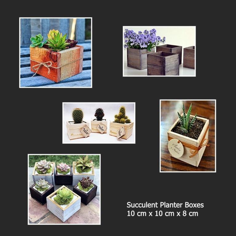 Customizable Succulent Rustic Planter Boxes Gardening Pots Planters On Carousell