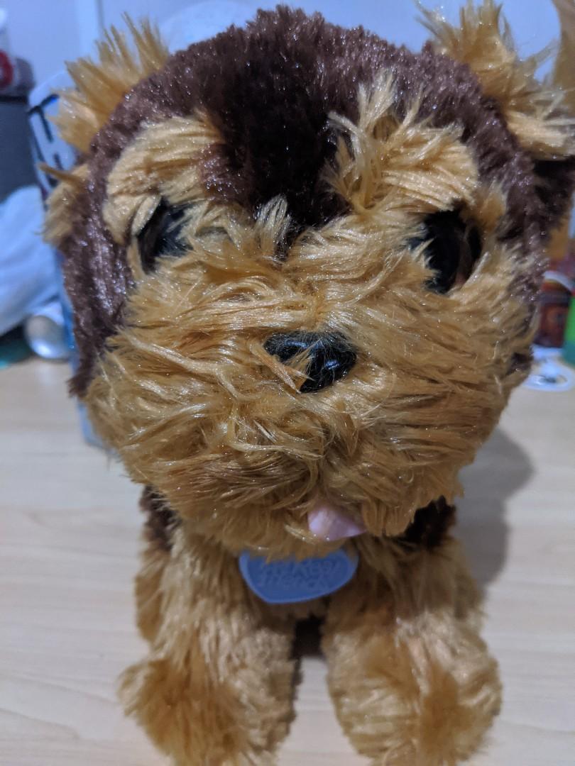 furreal dog (Category: Plushies & Soft Toys) located in Quezon City. Submitted by thrift.and.find (Listing ID 1035747413, Image 1). Description: super cute furreal dog selling low.