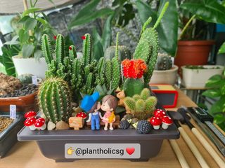 (Category: ) located in . Submitted by cactuslandsg (Listing ID 1035611070, Image 1). Description: .