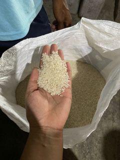 High Quality Rice 😊