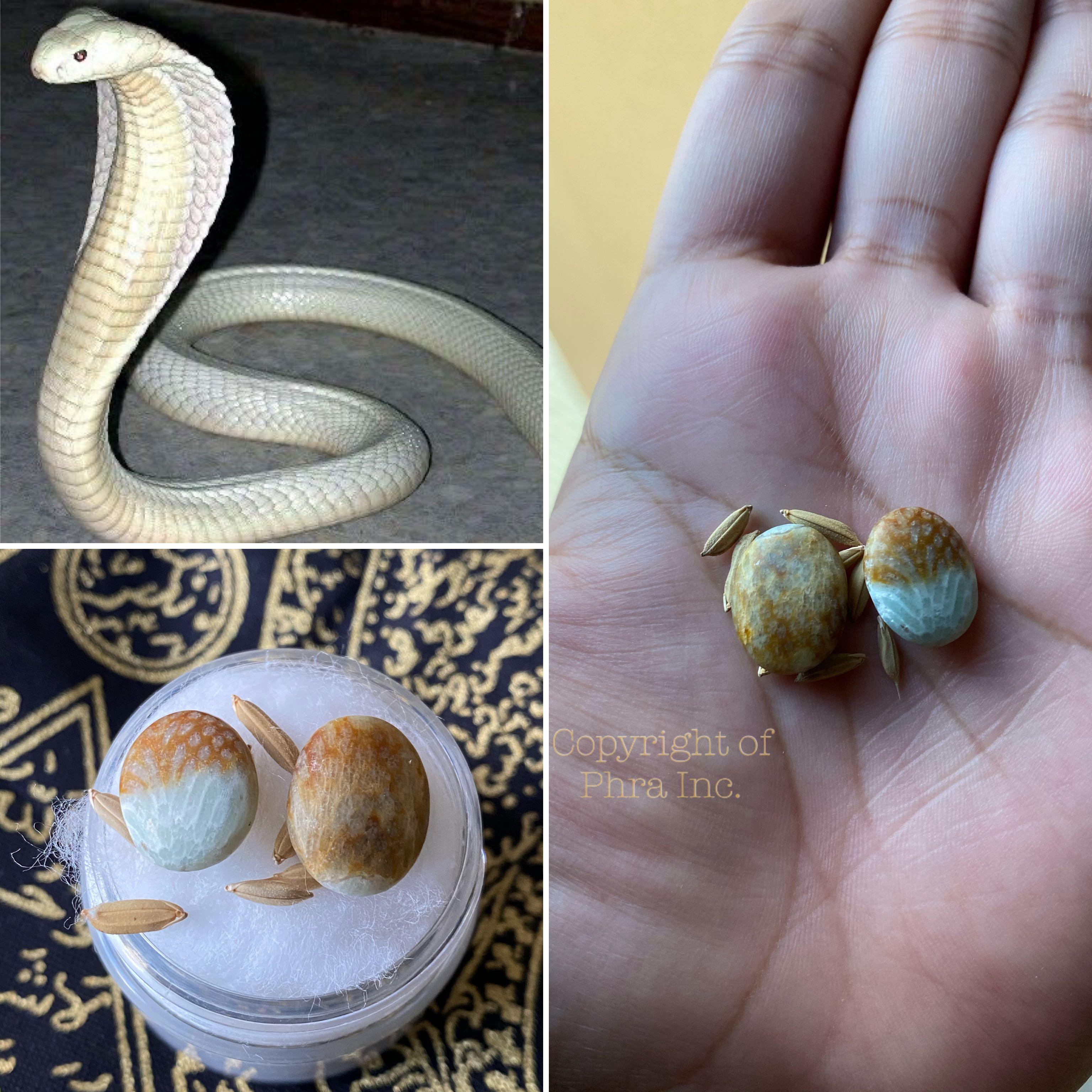 Nagamani Cobra Pearl Geliga Ibu Ular Daun Believed For Wealth Luck Charm Attraction Khodam Amulet Takrut Everything Else On Carousell