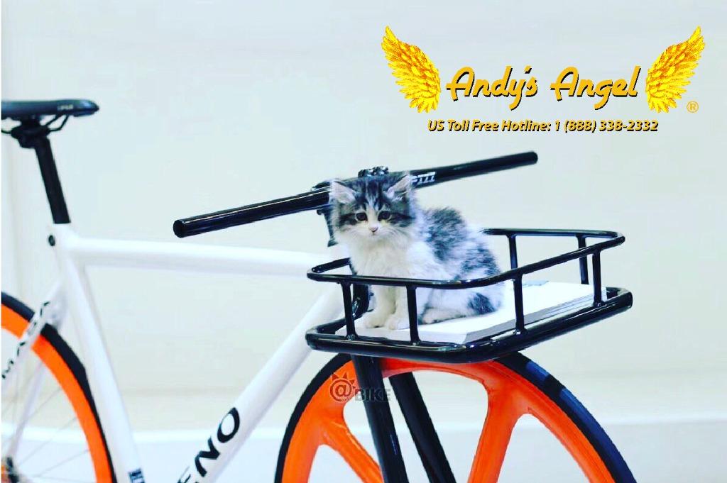Pizz Fixie Basket Handle fit most fixie bicycle 2 type available. 30 Off With Fixie Bike Purchase Sports Equipment Bicycles Parts Bicycles on Carousell