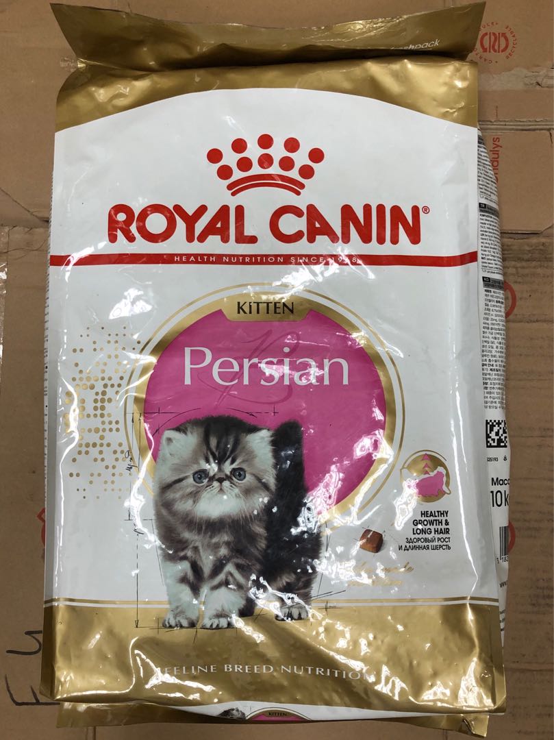 barsten ga winkelen Zorg Royal Canin Persian kitten 10kg, Pet Supplies, Pet Food on Carousell