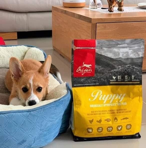 Acana Orijen Pet Food Pets Supplies Pet Food On Carousell