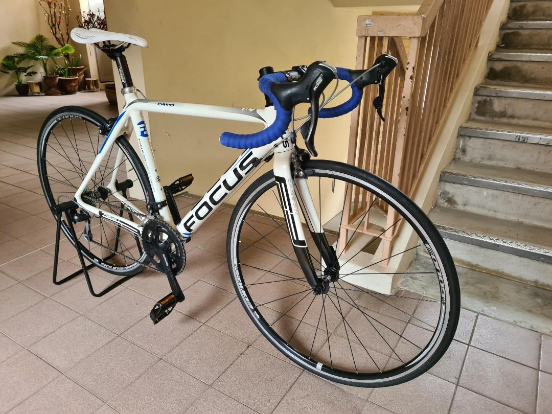 focus carbon road bike