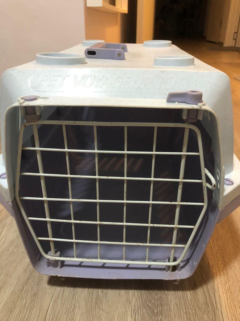 Pet voyageur 2025