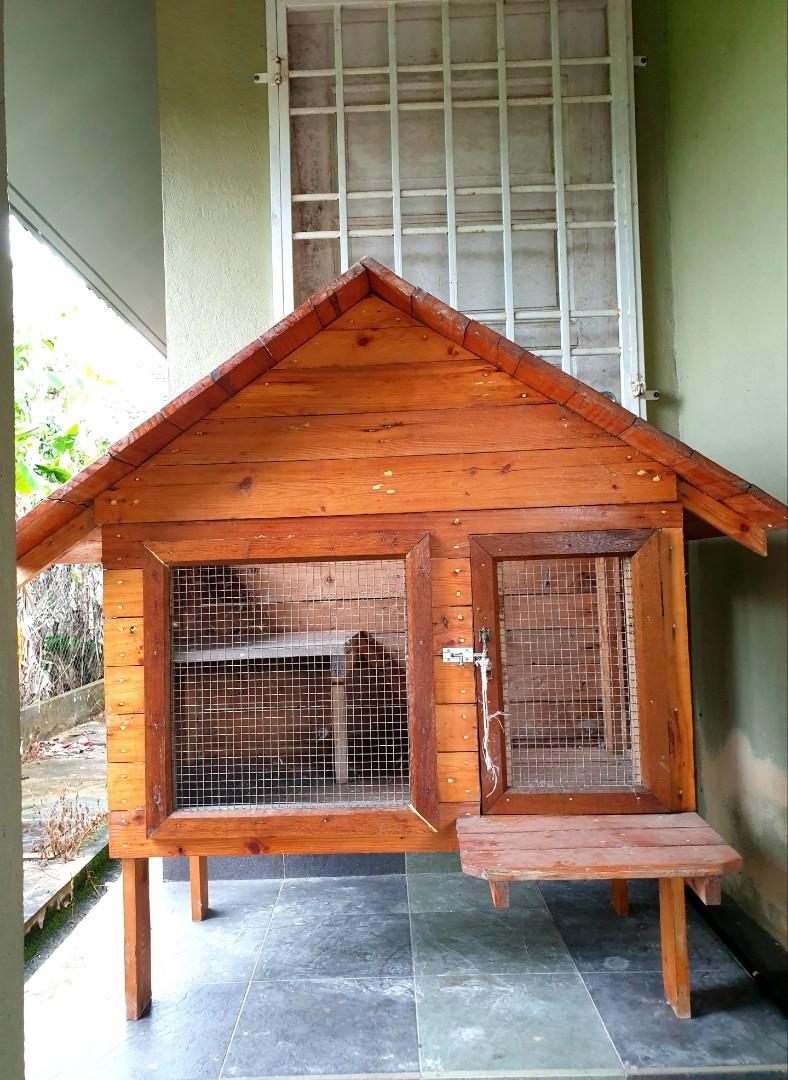 Design Sangkar Kucing Kayu Pallet : 15 Model Kandang Kucing Kayu Yang