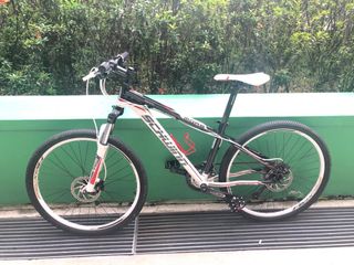 schwinn s30