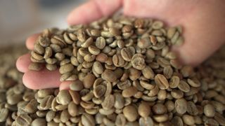 (Category: ) located in . Submitted by houseofcoffee (Listing ID 1036020197, Image 1). Description: .