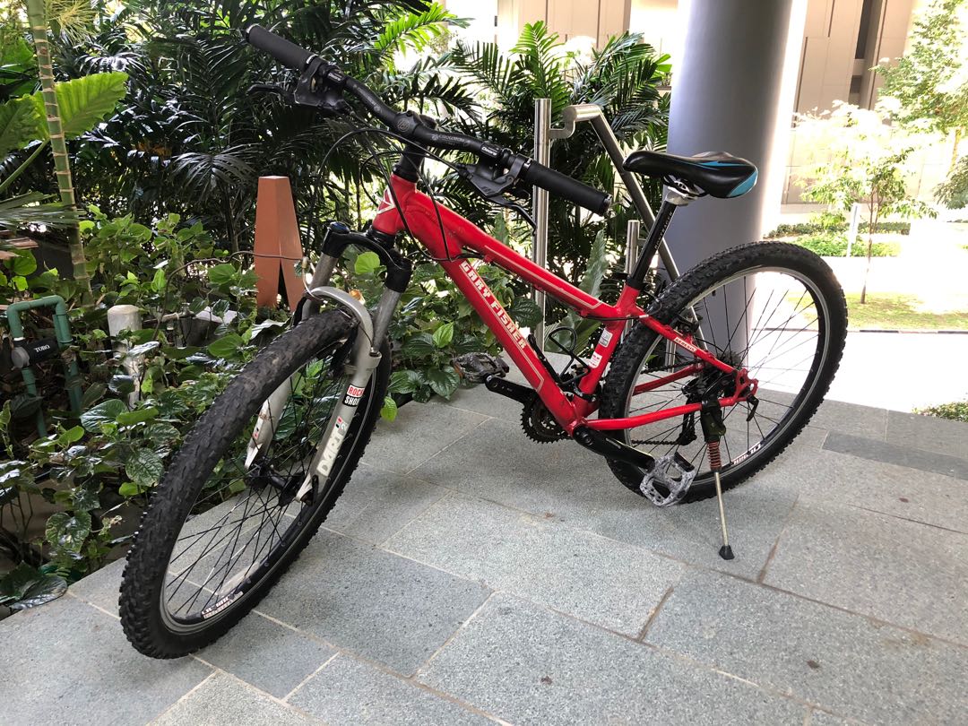 Gary fisher 26 inch mountain bike 2025