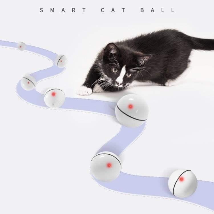self moving cat ball