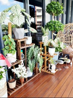 (Category: ) located in . Submitted by 88treasures (Listing ID 1036105540, Image 1). Description: .