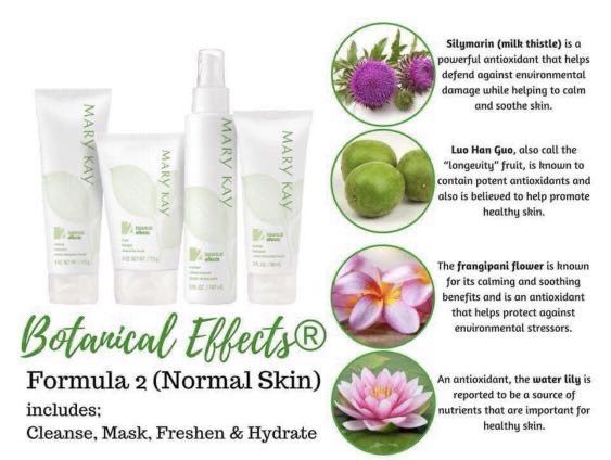 mary kay botanical effects cleanser formula 2