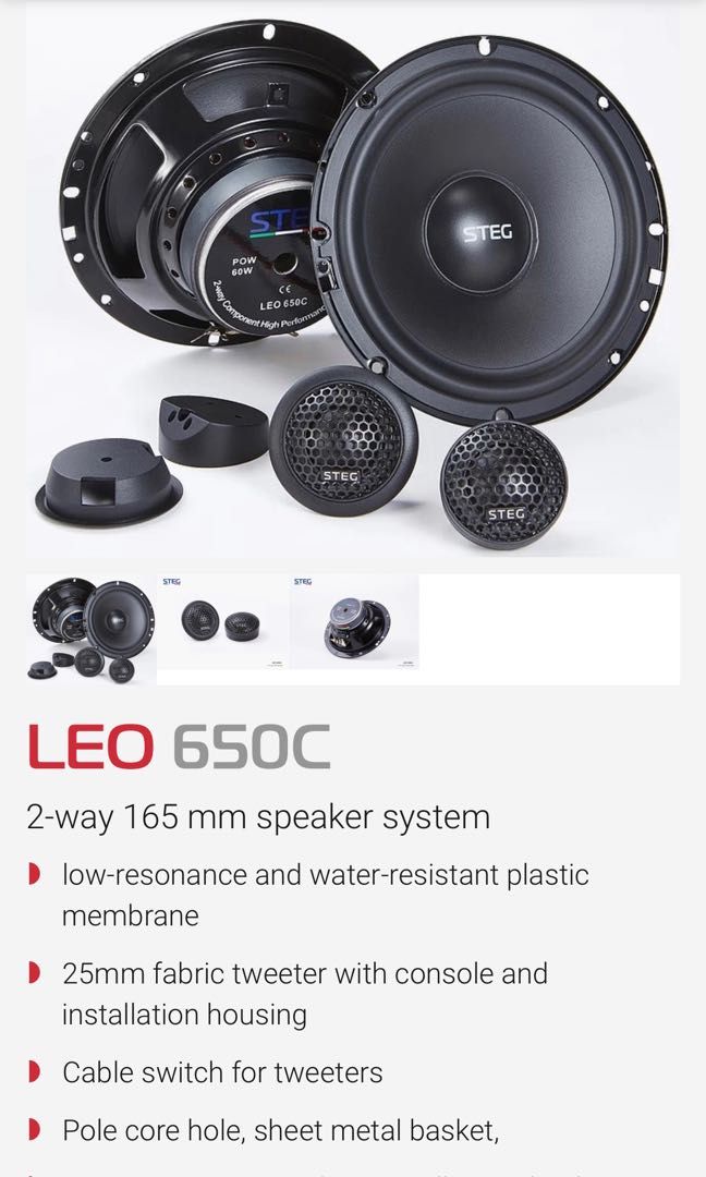 STEG Speakers, Pioneer Subwoofer 