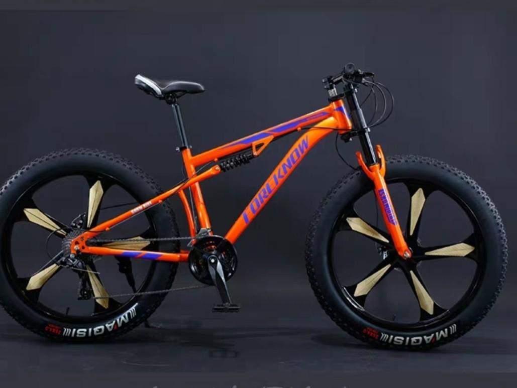 fat sand bike