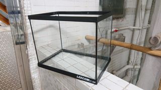 （分類：）位於 。 由 wyc0901 提交（商品編號 1036380320，圖片 1）。簡介： 。