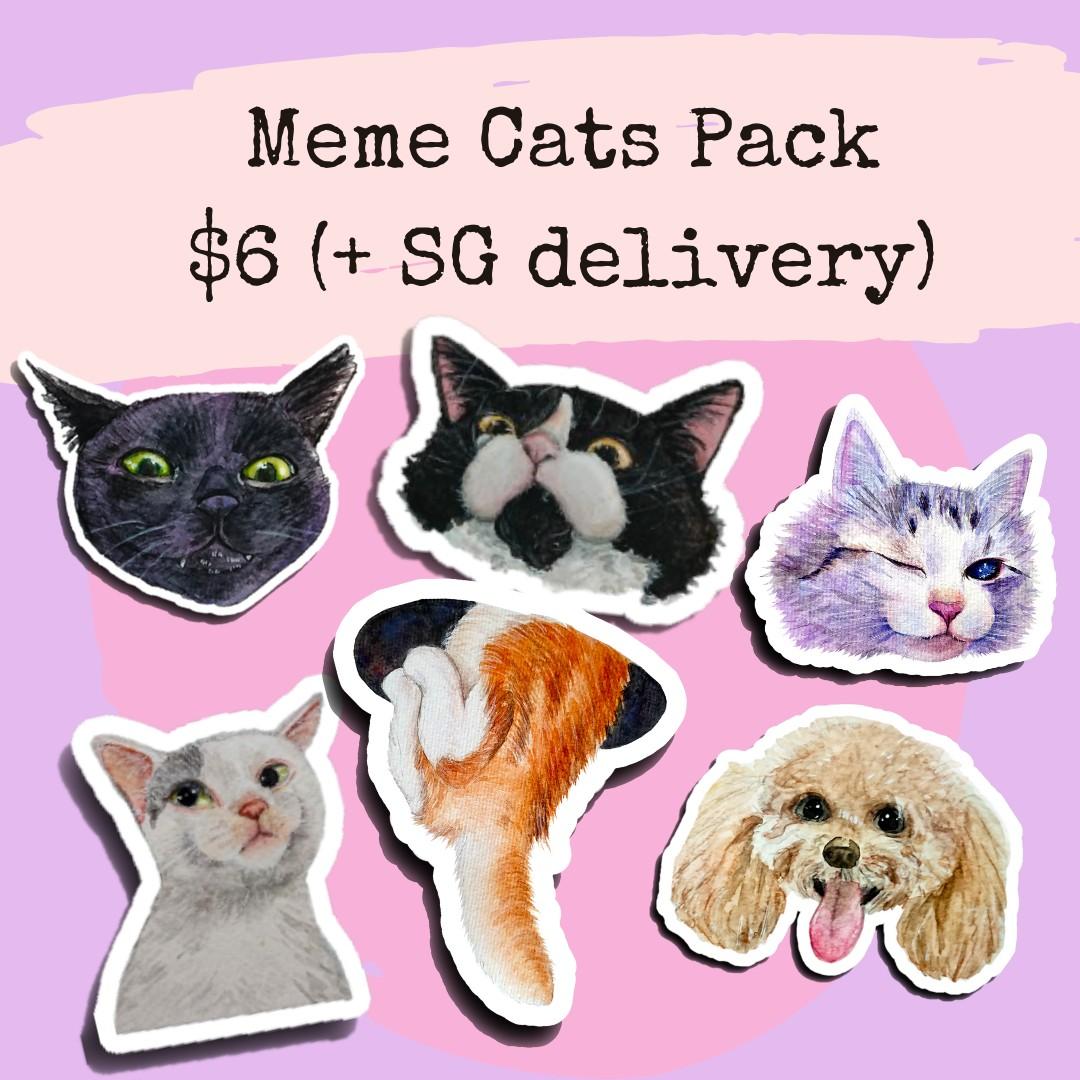 Cat Meme Sticker Pack Waterproof Hobbies Toys Stationery Craft Stationery School Supplies On Carousell