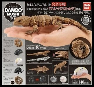 （分類：）位於 。 由 leefans02 提交（商品編號 1036276759，圖片 1）。簡介： 。
