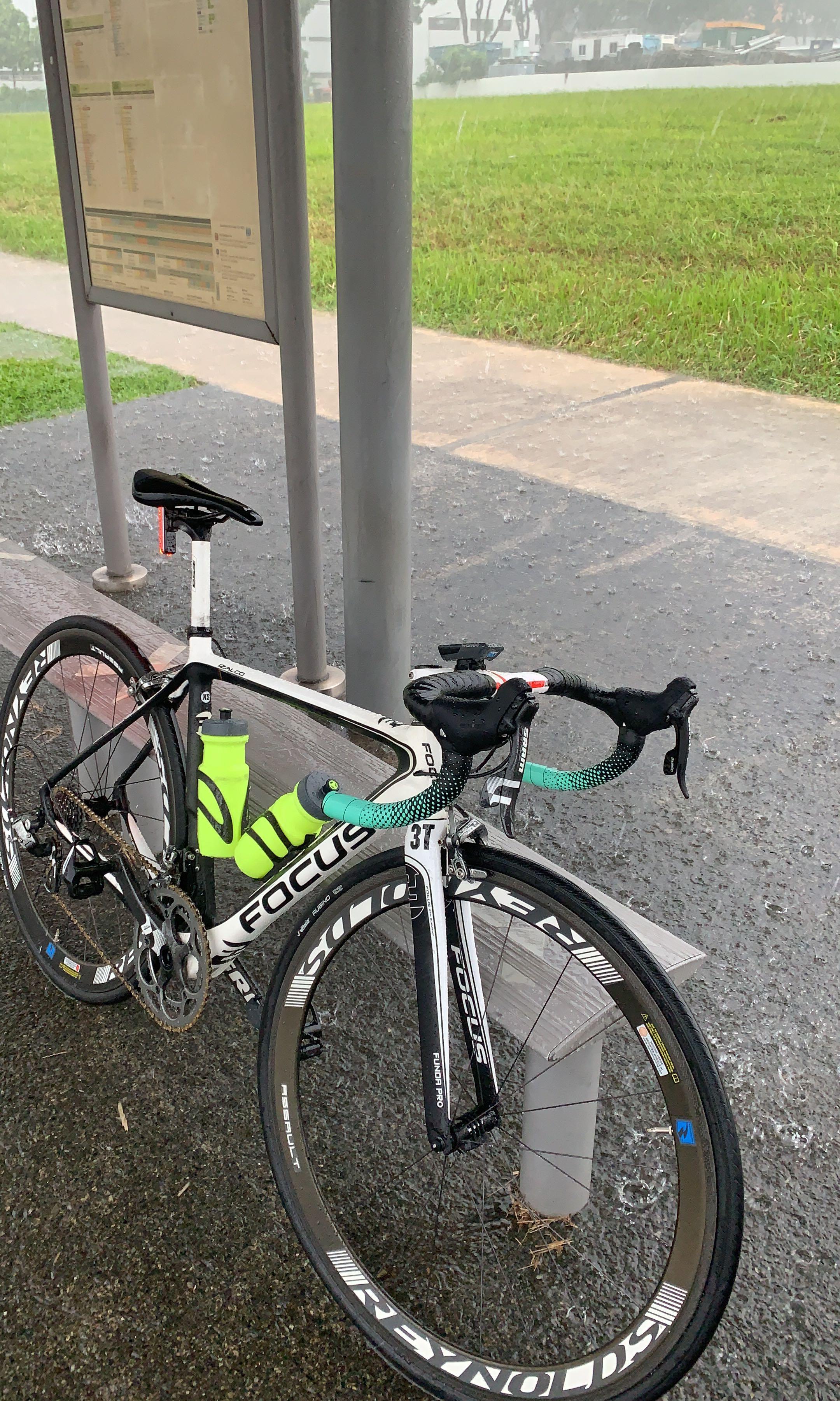 Focus izalco pro 3t store