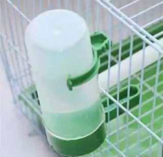 (Category: ) located in . Submitted by goodypetsupplies (Listing ID 1036378392, Image 1). Description: .