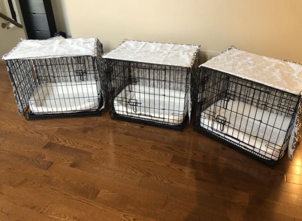 1 LEFT! Dog Crate and Accessories for Sale!