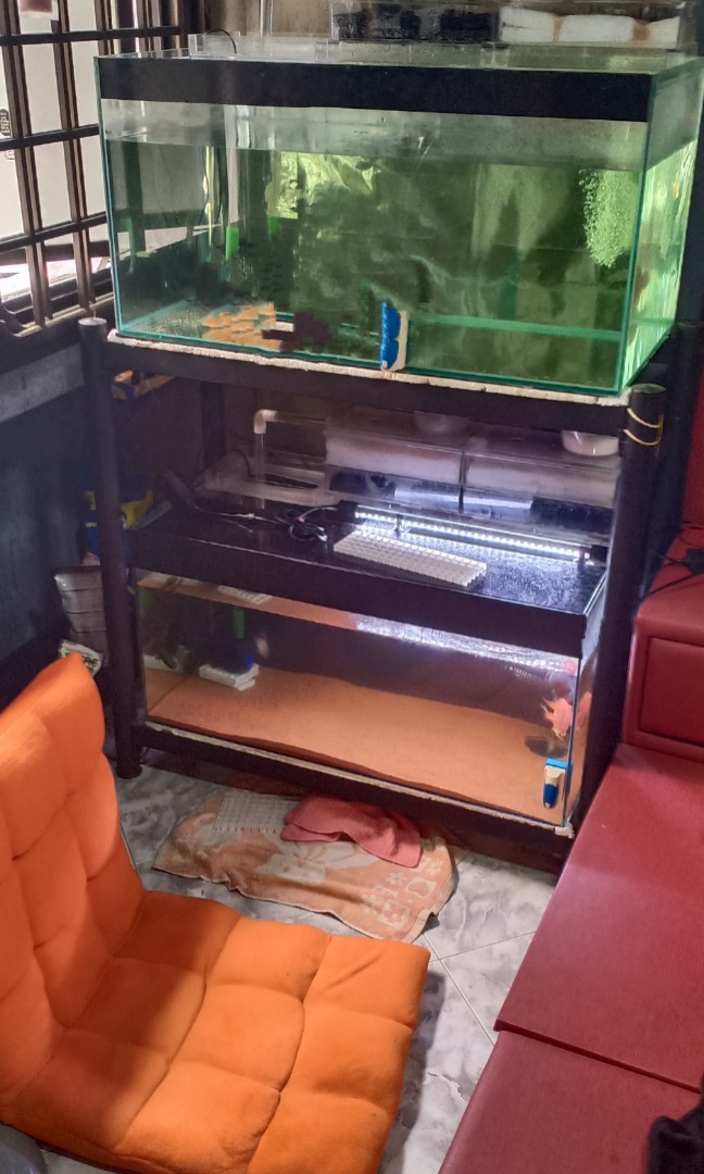 2× 3ft fish tank, Pet Supplies, Homes & Other Pet Accessories on Carousell