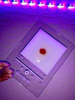 (Category: ) located in . Submitted by mjexxer (Listing ID 1032726669, Image 1). Description: .