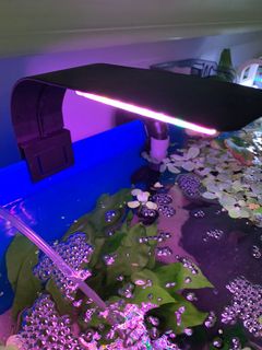 (Category: ) located in . Submitted by zaquaria (Listing ID 1032631974, Image 1). Description: .