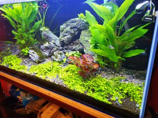 (Category: ) located in . Submitted by joshjoz (Listing ID 1032618349, Image 1). Description: .
