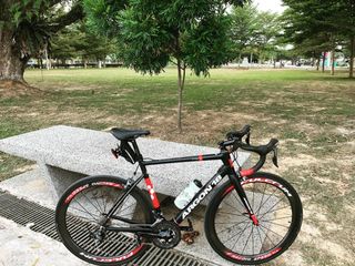 0 Sst 20 Er Folding Mtb Gammax Adult 21 Speed Shimano Basikal Bicycle Factory Sports Bicycles On Carousell