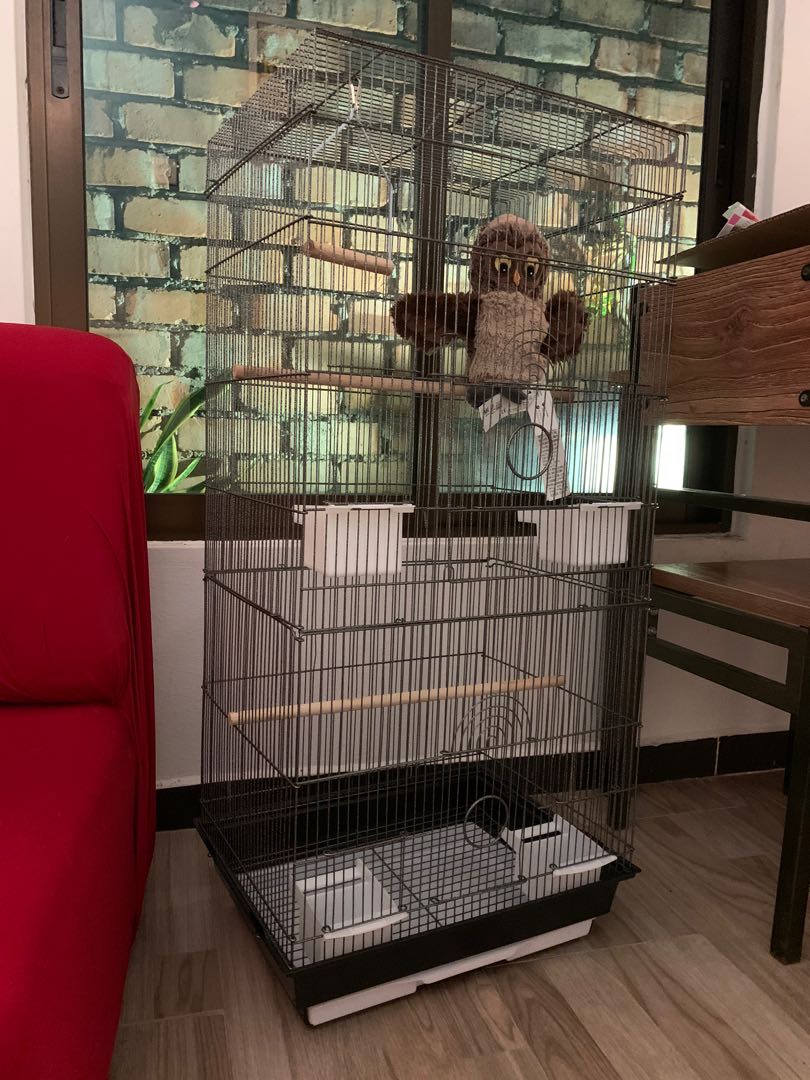 Bird Cage Sugar Glider Cage Pet Supplies Pet Accessories On Carousell