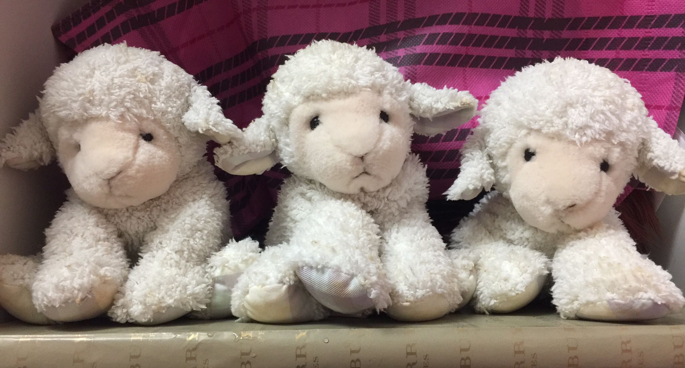 11 11 SALES Burberry Hobbies Toys Toys Games on Carousell