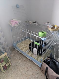 (Category: ) located in . Submitted by tabbycat35 (Listing ID 1032644953, Image 1). Description: .