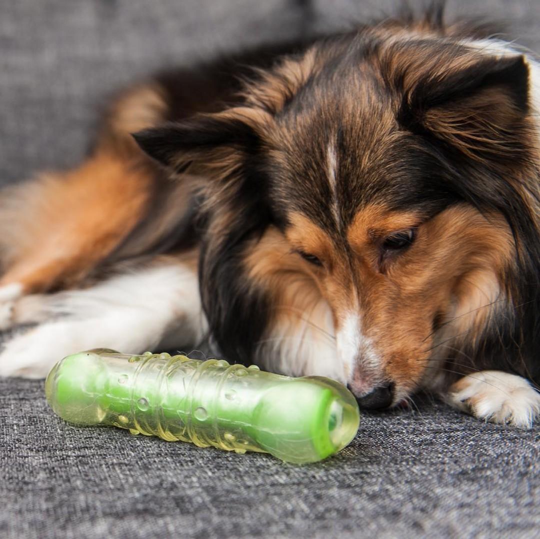 Crunch Veggies Dog Chew Toys