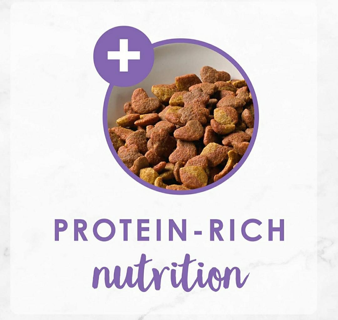 fancy feast dry food