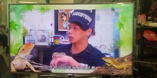（分類：）位於 。 由 sarinaspider 提交（商品編號 1032594758，圖片 1）。簡介： 。