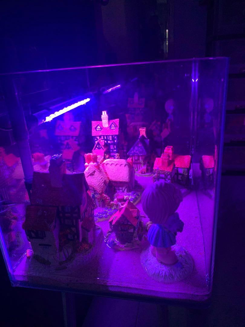 45x29x30 curved fish tank for sale., Pet Supplies, Homes & Other Pet