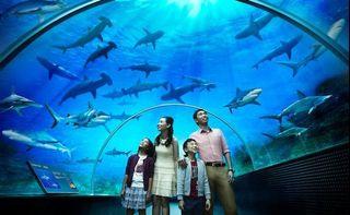 Ticket Aquaria Klcc Tickets Vouchers Carousell Malaysia