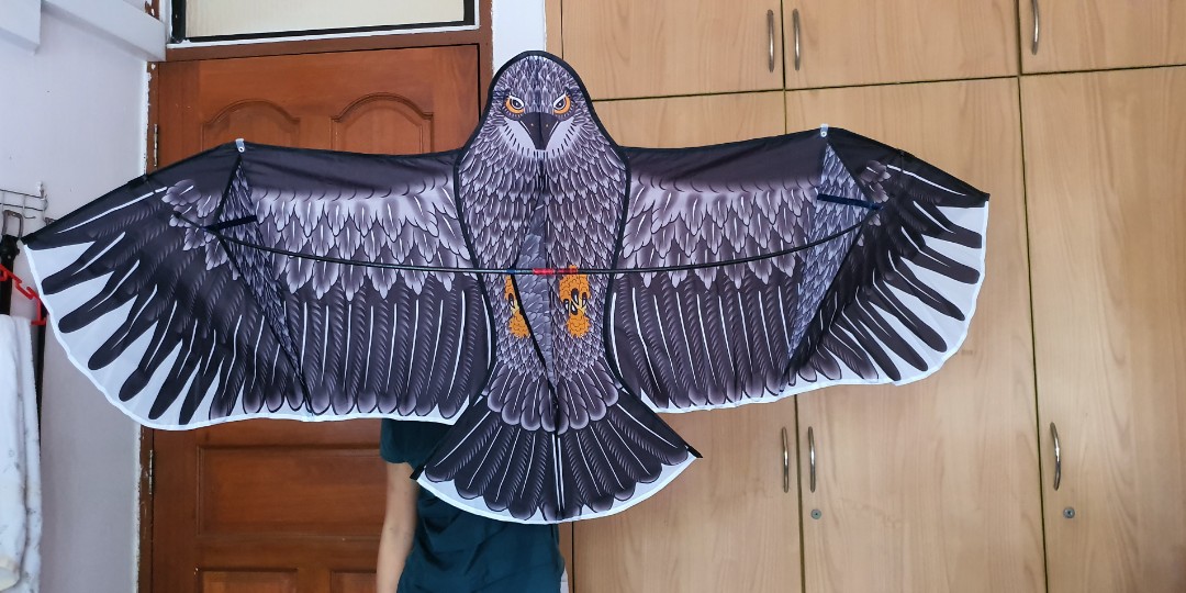 Extra large Eagle kite, 2m wide large eagle kite, 2 designs, 3D effect