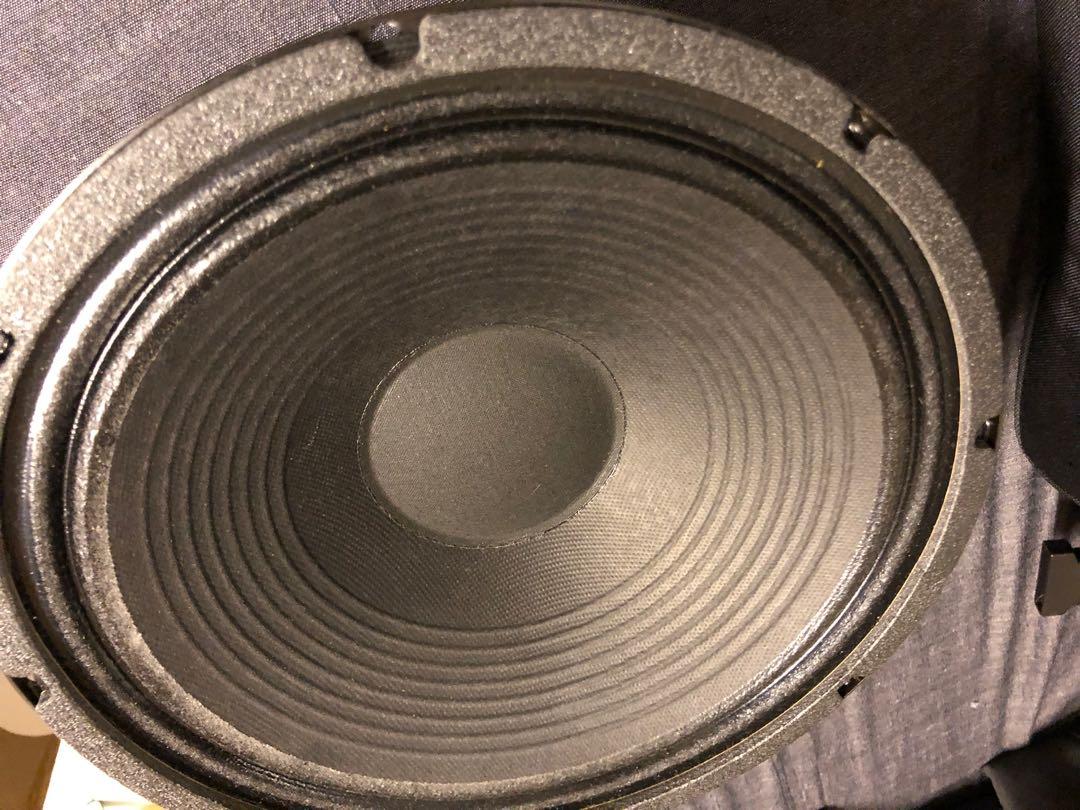16 ohm guitar speaker