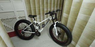 fat bike bike