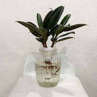 (Category: ) located in . Submitted by therootssg (Listing ID 1036507889, Image 1). Description: .