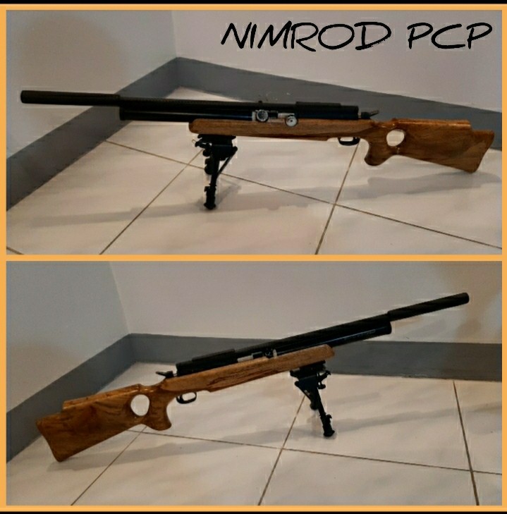 Nimrod pcp and Manlapat co2 Airgun on Carousell