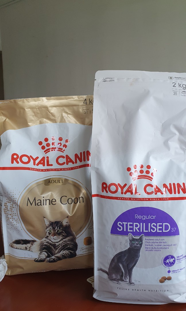 royal canin maine coon sterilised