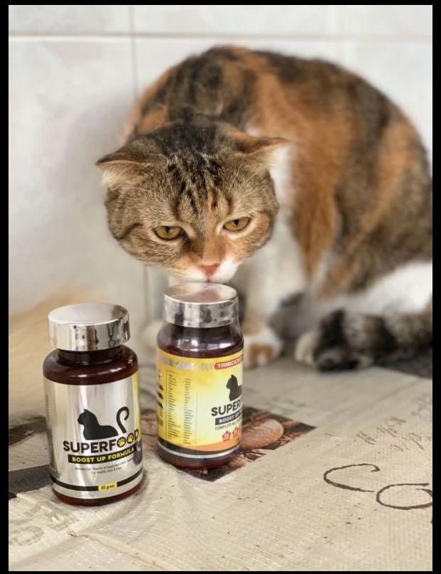 3 btls 70 Superfood Growth Booster Cat Supplement Vitamin