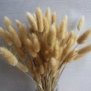 （分類：）位於 。 由 ayajin 提交（商品編號 1036703530，圖片 1）。簡介： 。