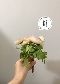 （分類：）位於 。 由 playan2020 提交（商品編號 1036817384，圖片 1）。簡介： 。